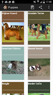 How to install Puppies 1.2.13 unlimited apk for laptop