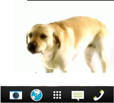 Dog Live Wallpaper