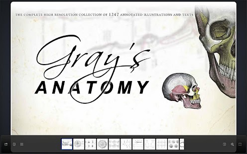 Grays Anatomy for Tablets