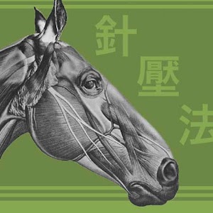 Equine AcuPoints 1.02 Icon