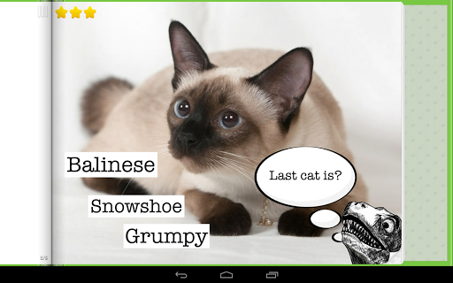 【免費教育App】Cat Memes & Breeds Game-APP點子