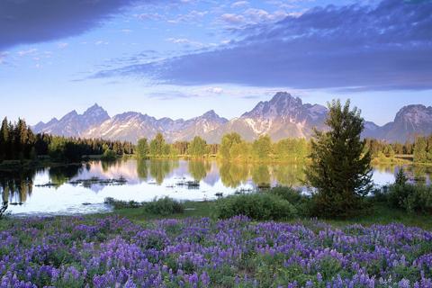 Android application Landscape Jigsaw puzzles 4In 1 screenshort