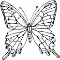 ButterflyLiveWallpaper logo