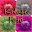 Kolase Foto Download on Windows