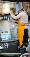 Fisherman in the south of France by Judith Dueck -  