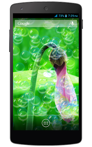 【免費個人化App】HD Flowers Live Wallpaper-APP點子