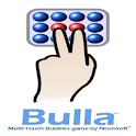 Bulla Pro logo