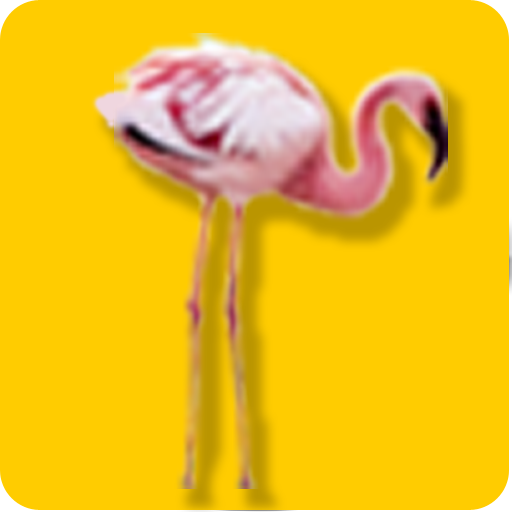 Flamingo Palms Cuban Cafe LOGO-APP點子