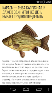 Lastest Р��балка. Советы APK
