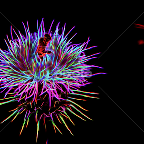 Honey Bee Disco by Jim Moon - Digital Art Abstract