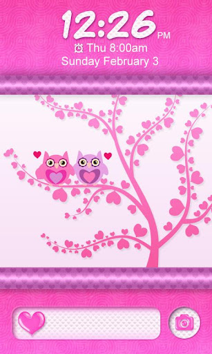 Cute Love Owls Theme Go Locker