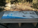 Discover Water Bench San Francisquito Creek