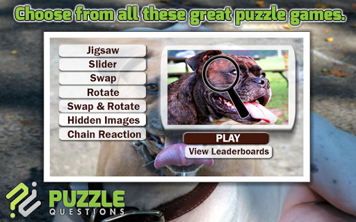 Pitbull Dog Puzzle Games