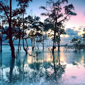 by Sim Sherina - Landscapes Beaches