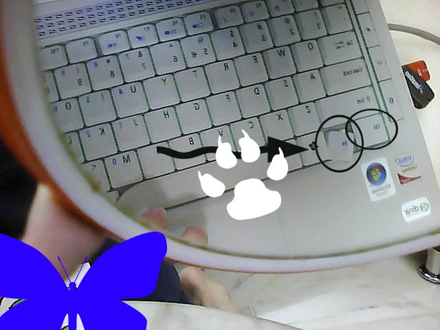 [Picture0003[3].jpg]