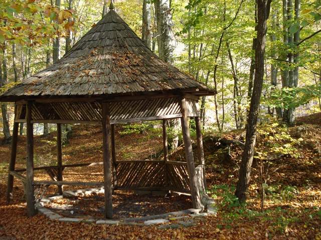 [DSC07288[1].jpg]