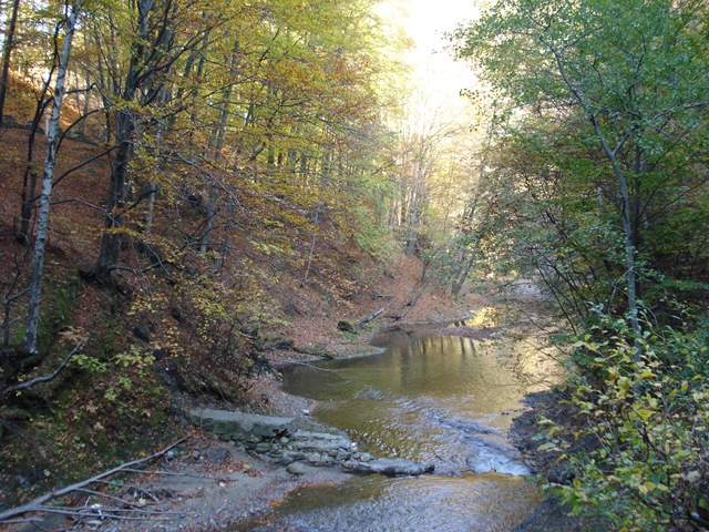 [DSC07289[1].jpg]