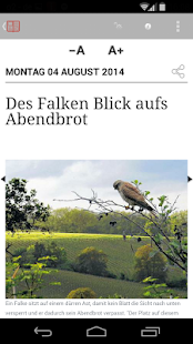 inFranken E-Paper Screenshots 4