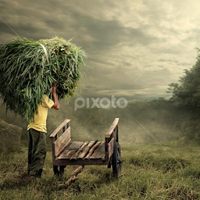 grass head by Budi Cc-line - Digital Art People