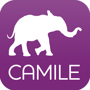 Camile Thai logo