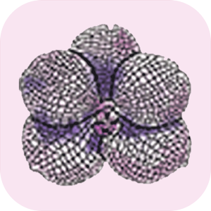 RF Orchids 1.399
