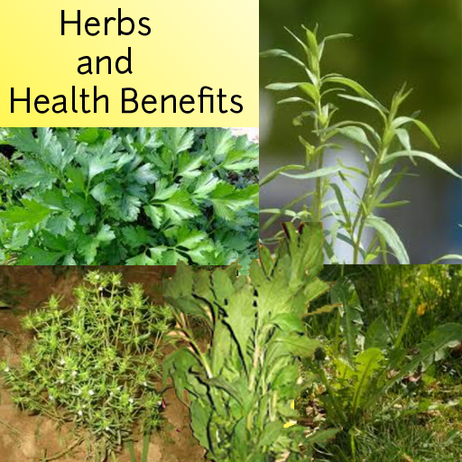 Herbs and Health Benefits