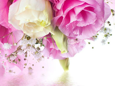 ピンク の 薔薇 待ち受け 効果 の最高のコレクション 美しい花の画像