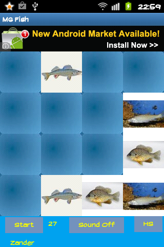 Fish Memory game