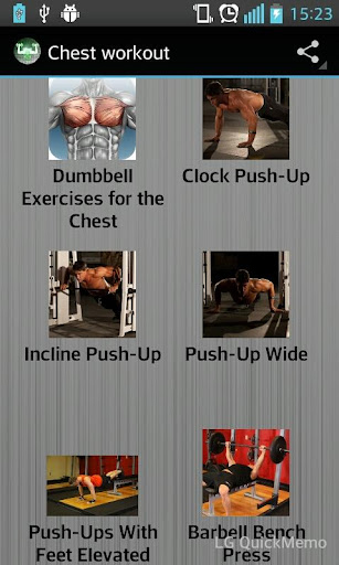 Chest exercises workout
