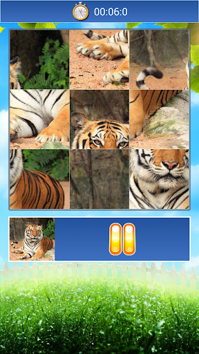 【免費解謎App】Animals World Jigsaw Puzzle-APP點子