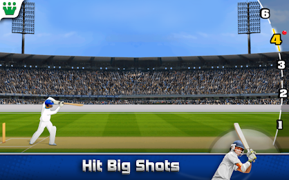 Ultimate Turbo Cricket poster 2