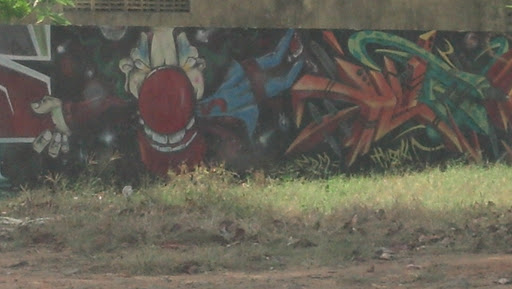 Grafite Na Praça De Neopolis