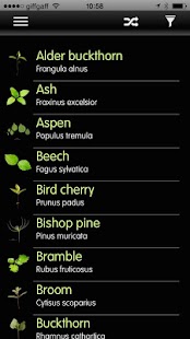 How to install Forest Seedlings patch 1.0.8 apk for android