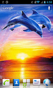 Free Dolphins at sunset live wp APK for Android