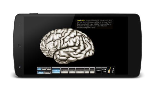 Cerebrum ID