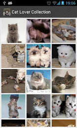 Cat Lovers Collection poster 1