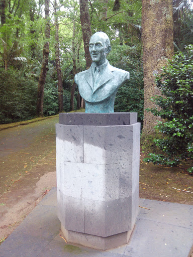 Estátua No Jardim Terra Nostra