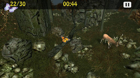 Butterflies Catch Craze 3D poster 12