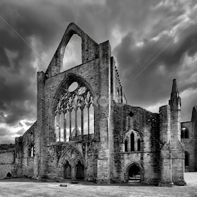 Tintern Abbey by Julien Johnston - Buildings & Architecture Public & Historical