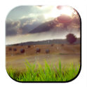 Blind Rain Nature LWP logo