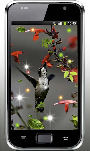 Colibri Gallery HD Photo LWP