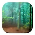 Forest Live Wallpaper 3D icon